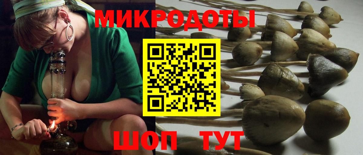 Псилоцибиновые грибы Cubensis  Псилоцибиновые грибы GOLDEN TEACHER  Ангарск  Вход с VPN 